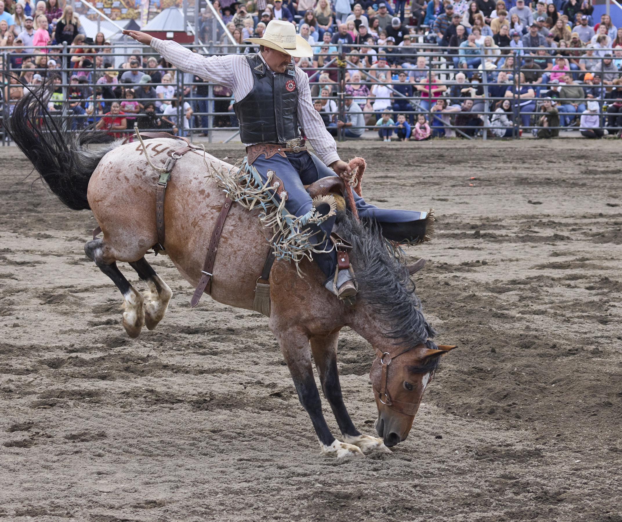 Images Professional Rodeo Photographs